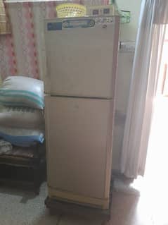 PEL Refrigerator for sale. 
Cooling ok. 
no fault. 
Urgent sale.