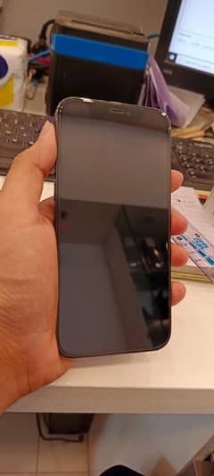 iphone 12 pro pta aproved