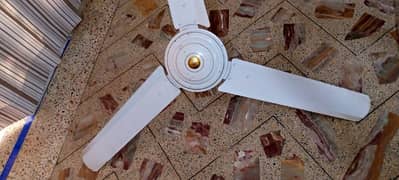 ceiling fan