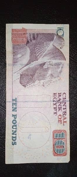 Currency Notes 7