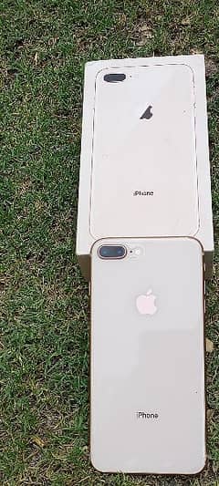 i phone 8+