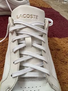 Lacoste origional shoe