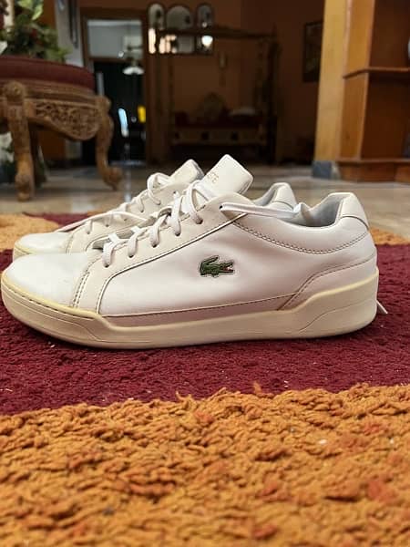 Lacoste origional shoe 3