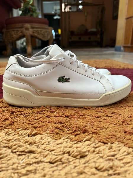 Lacoste origional shoe 4