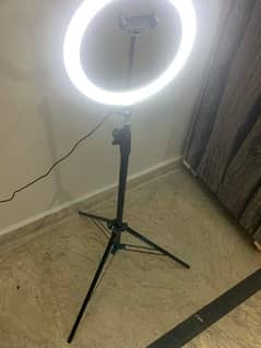 RING LIGHT (3 COLORS)