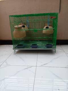 only pinjra cage