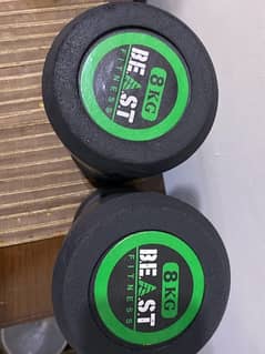 pair of 8kg dumbbells