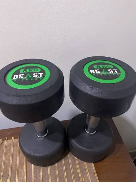 pair of 8kg dumbbells 2