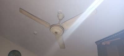 ceiling Fan