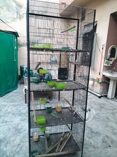 Cage with all assessories