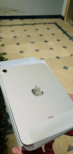 Apple iPad mini 6