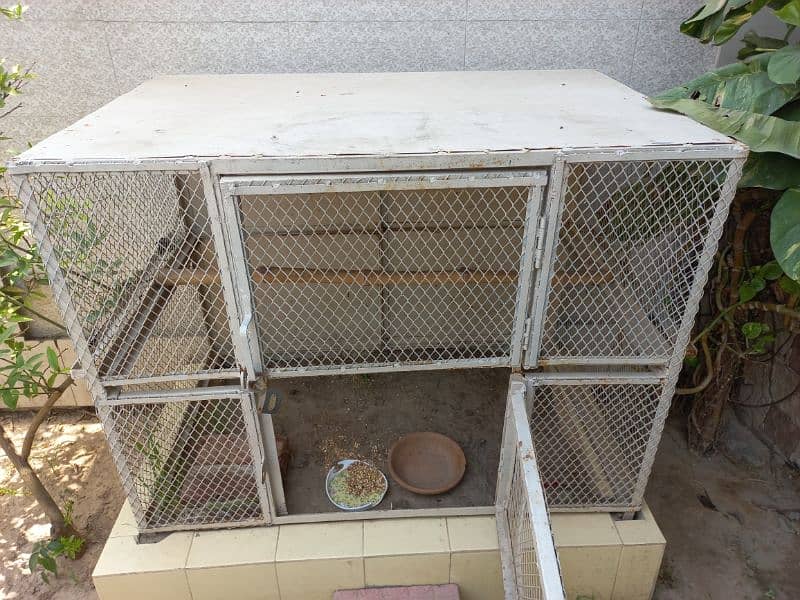 Hens /Birds Cage. 2