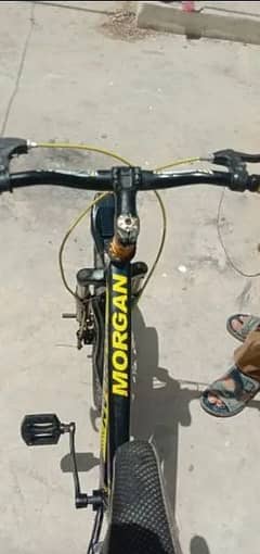 morgan cycle used ma hai