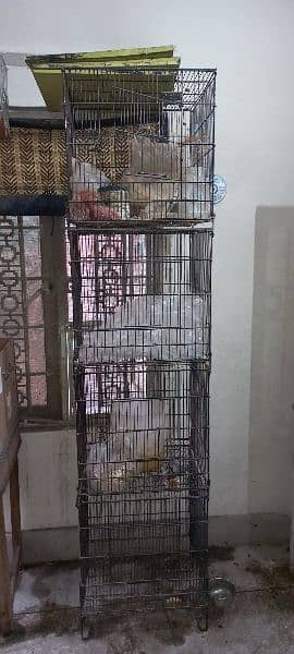 Birds Cage 0