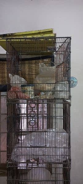 Birds Cage 3