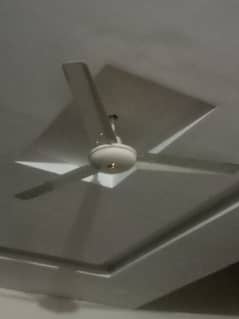 6month used ceiling fan