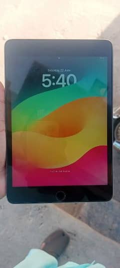 ipad mini5 with charger memorey 64GB