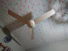 ceiling fans in excellent condition