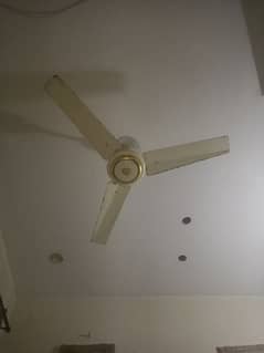 ceiling fan pure copper granted
