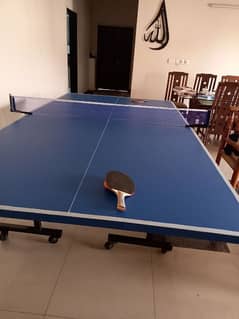 Table Tennis Table