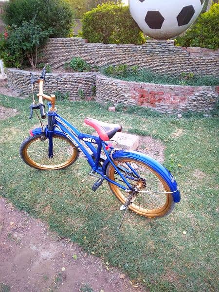 3 month use cycle (full genuine condition) 2
