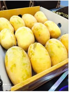 export quality mango and fruits