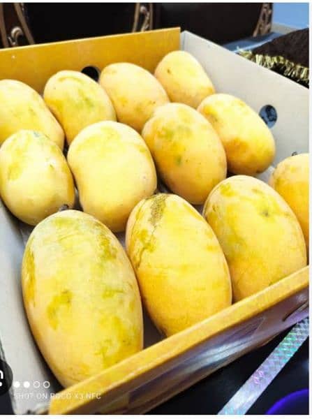 export quality mango and fruits 0