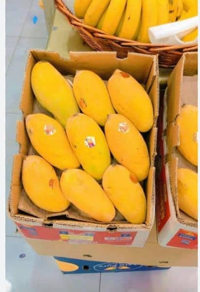 export quality mango and fruits 1