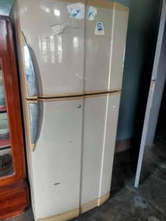 Pel Full Size Refrigerator