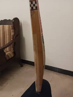 Hard Ball Bat (Just Like New)