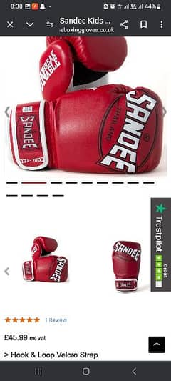 Boxing Gloves Imported