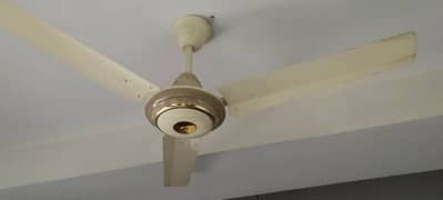 Rolax  Ceiling Fan