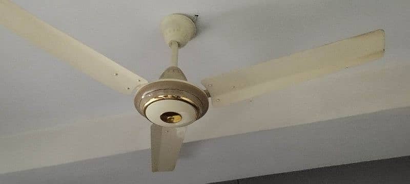 Rolax  Ceiling Fan 0