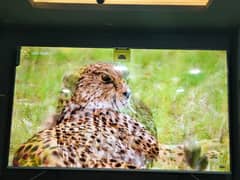 85 INCH ANDROID 4K UHD Q LED LATEST MODEL   03001802120
