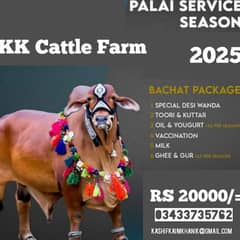 Palai service available reasonable price