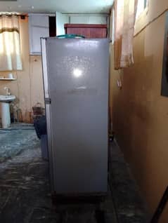 Refrigerator - Freezer