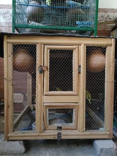 Australian Perrot 6 pairs with wooden cage