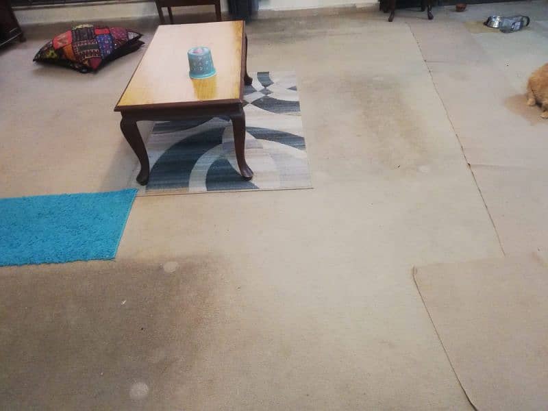 good quality carpet 3