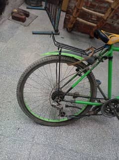 Phoneix bicycle for sale. cycle for sale