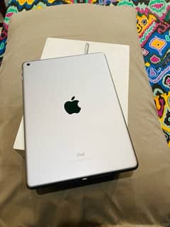 iPad ( 6th generation )