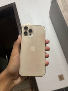 iphone 12 pro max pta approve