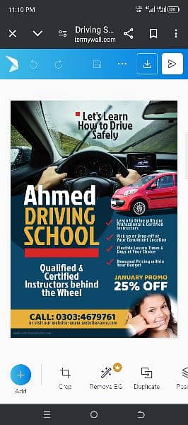 professional driving school 1