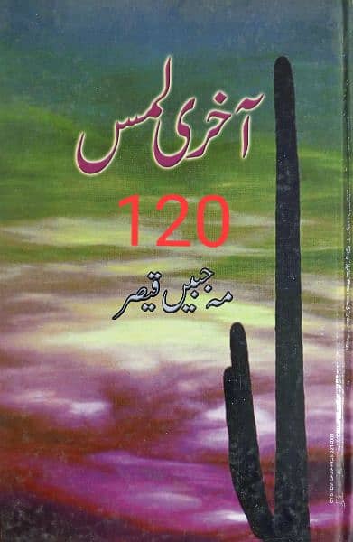 Urdu Books 13