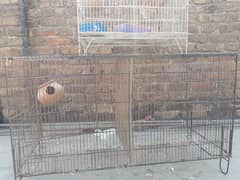 parrots cage for sale 0