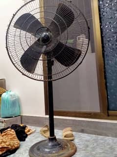 Pedestal fan