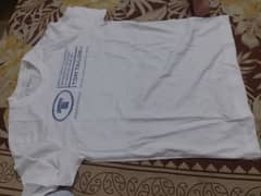 Branded t-shirts