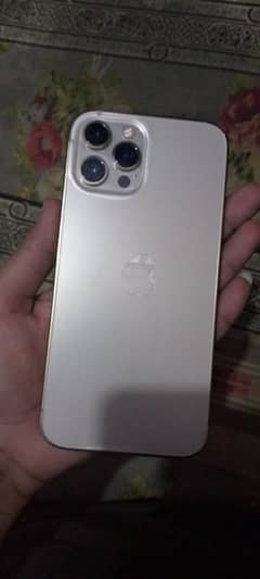 iPhone 12pro max