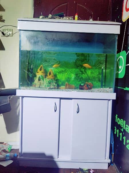 Fish aquarium 0