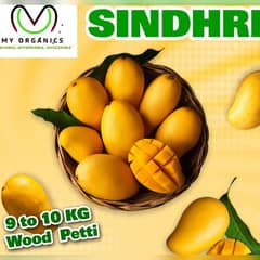 Export quality sindhri aam