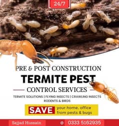 Termite/Pest control treatment/deemak control service/spray fumigation